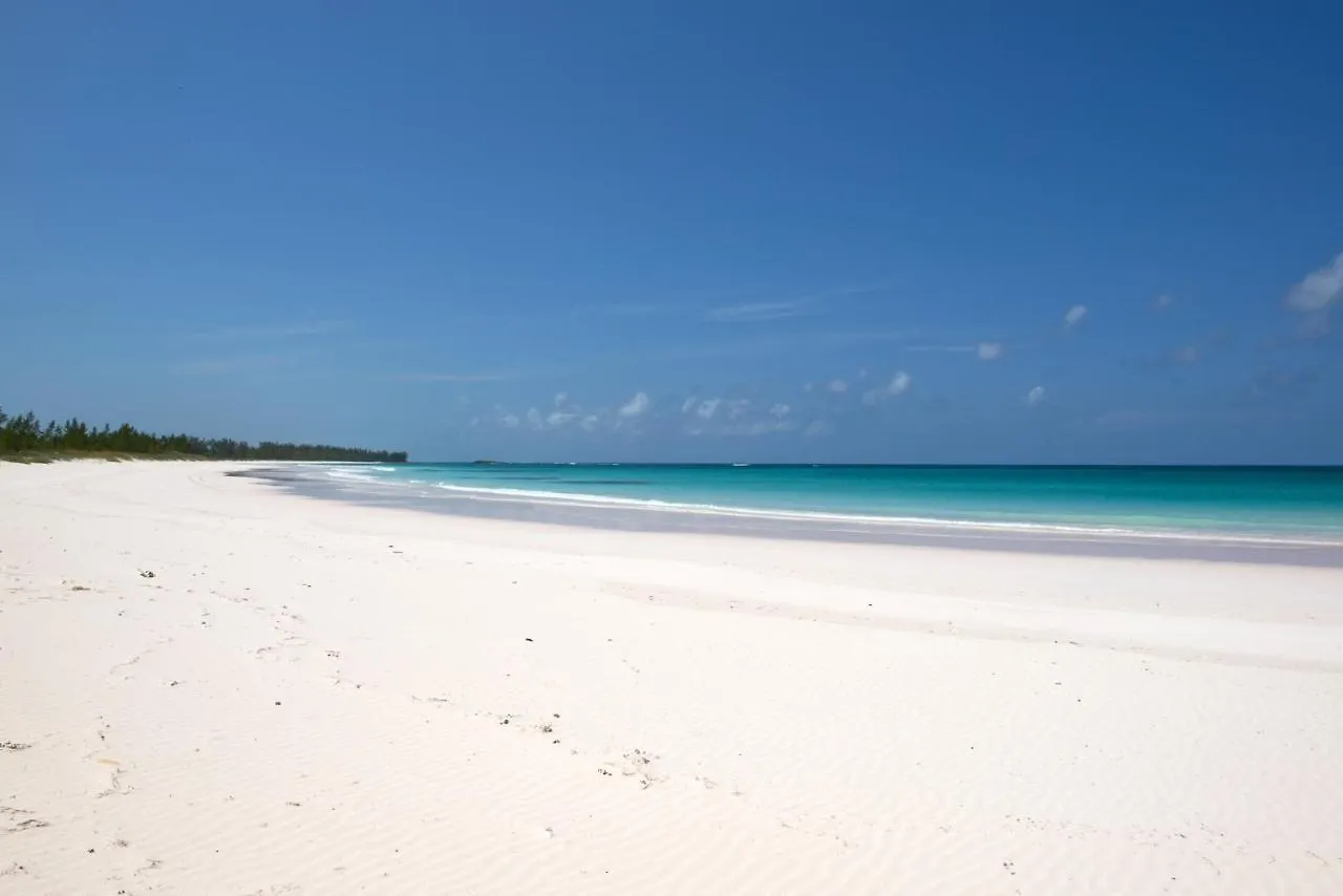 Salty Dolphin Home Governor's Harbour 0*,  Bahamalar